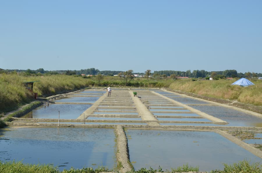 Marais-salants en Loire-Atlantique depuis une randonnée - Camping l'Île de Kernodet