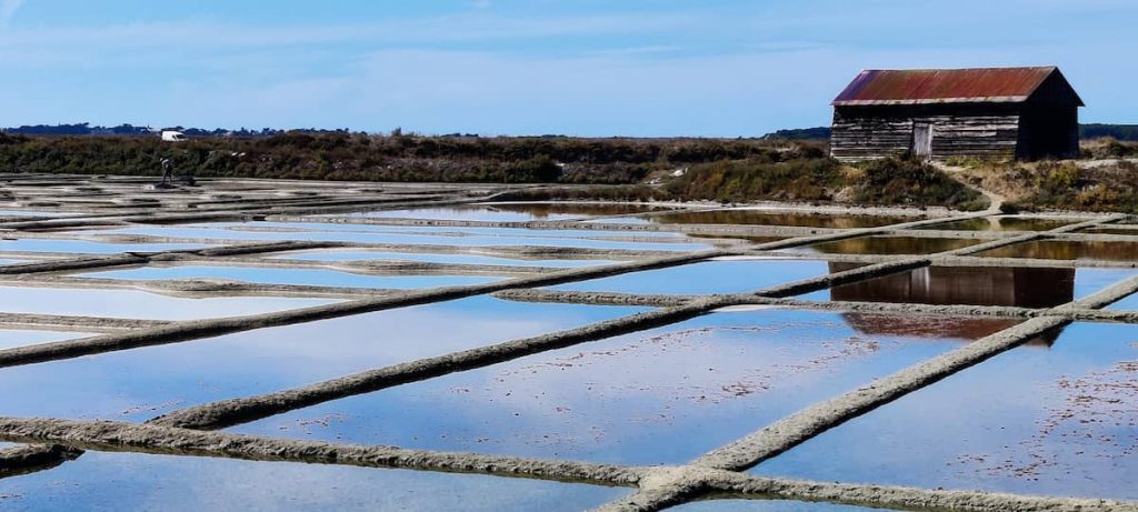 Marais salant proche La Turballe - Camping Paradis l'Île de Kernodet en Loire-Atlantique
