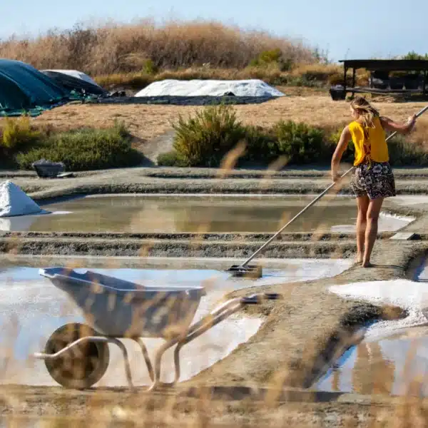 marais salants presqu'île de Guérande autour de Saint-Molf